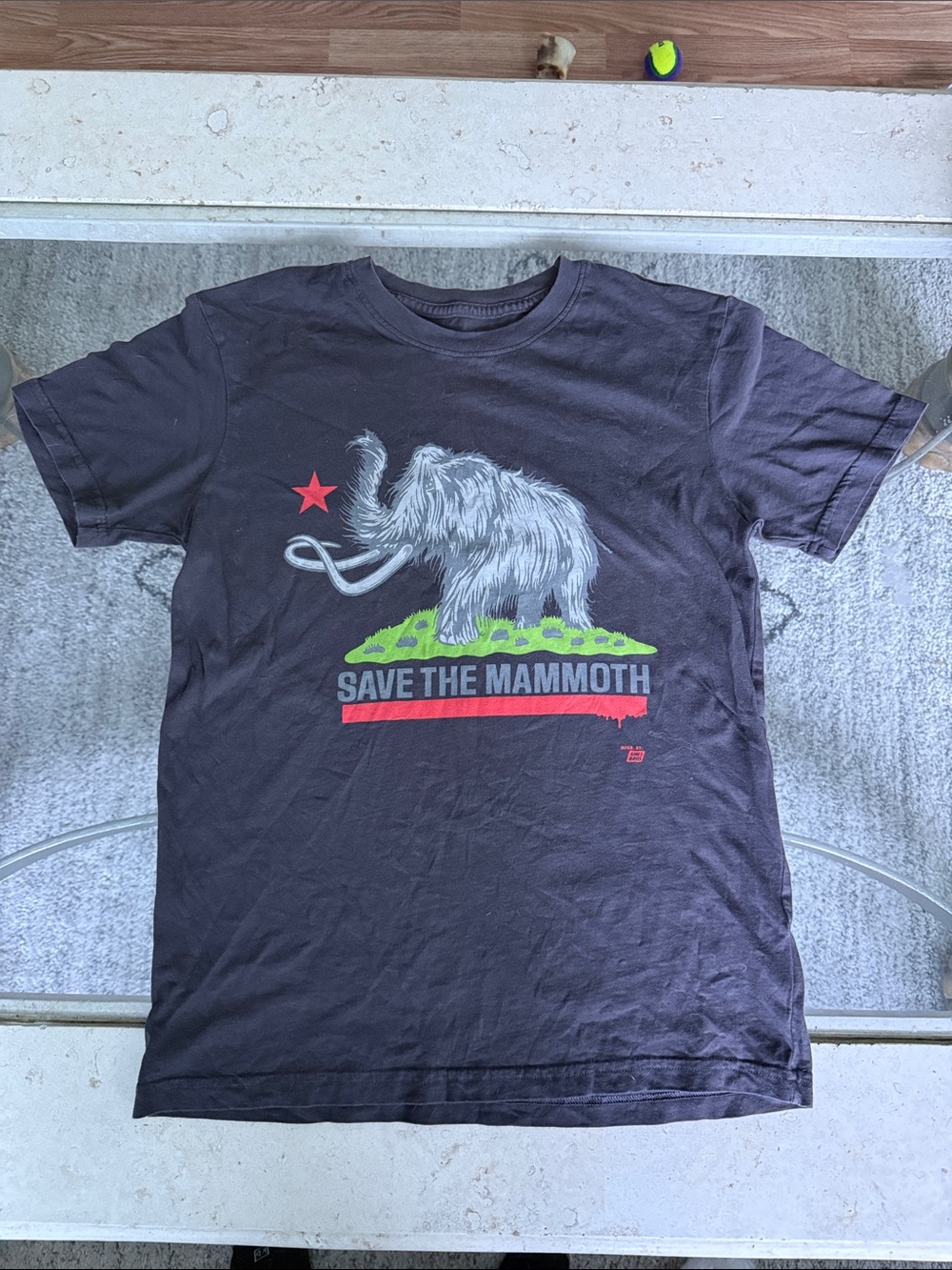 AMES BROS Save The Mammoth Graphic Tee
